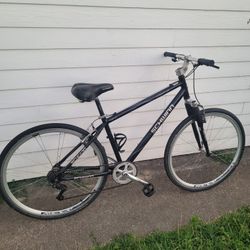 Schwinn Bike 