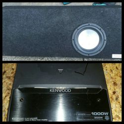 Eclipse 10" Woofer