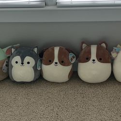 Squishmallows 