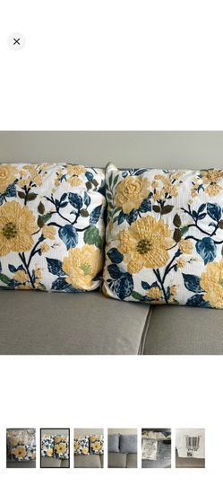 20 x 20 Throw Pillows