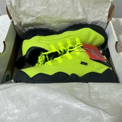Nike SB Darwin low size 11