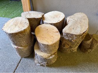 FREE Wood Rounds / Firewood / Craft Wood – You Haul
