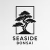 Seaside Bonsai San Diego