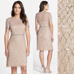 New Adrianna Papell Beaded Woven sheath dress Champagne Size 2 4 6 8 10 4P
