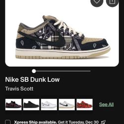 Nike Dunk TRAVIS SCOTT