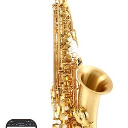 Saxophone Supreme Professional 