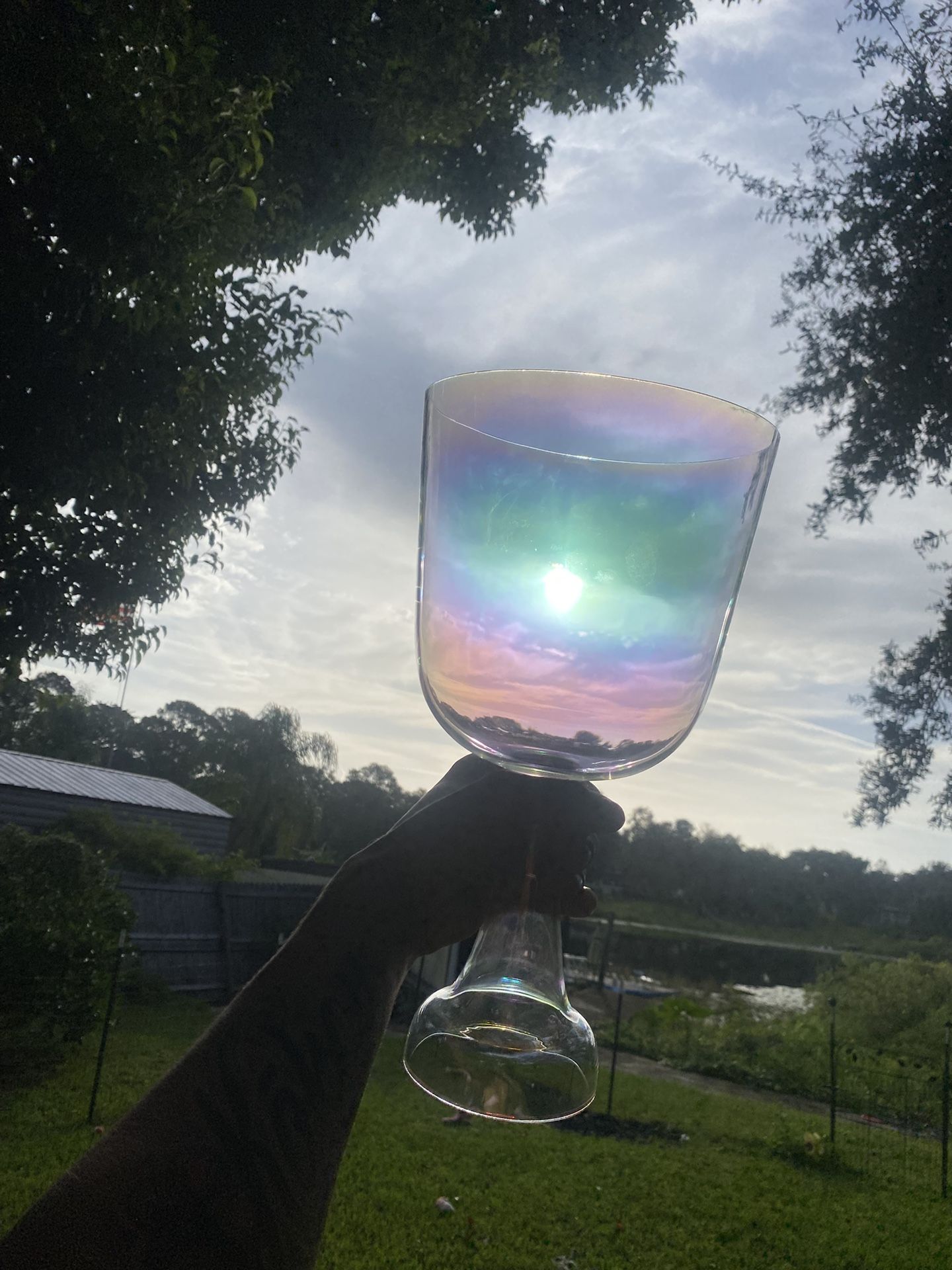 Meinl Sonic Energy Crystal Singing Chalice