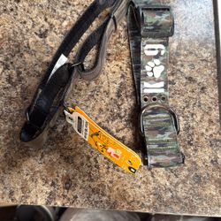 Dog Collars 