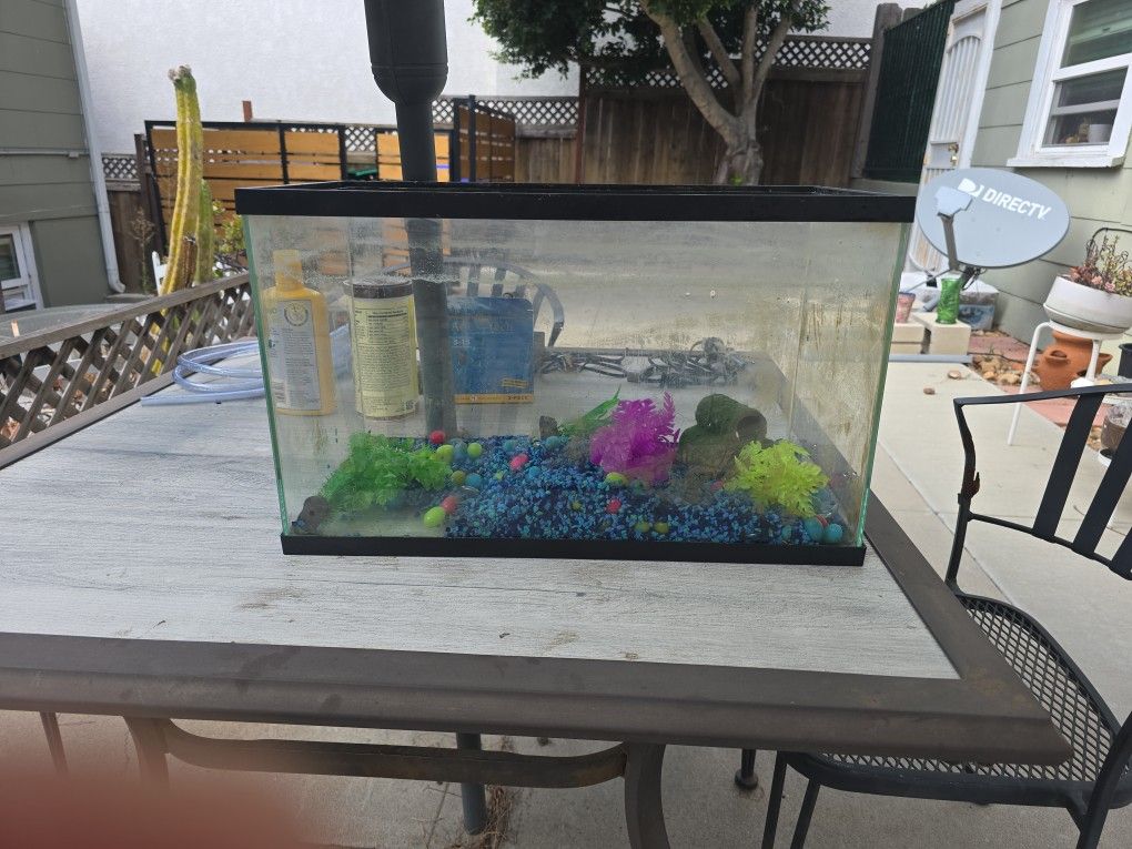 10 Gallon Fish Tank Plus Accessories- $10 OBO