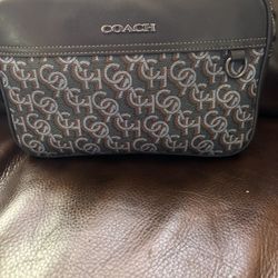 Medium size Coach purse