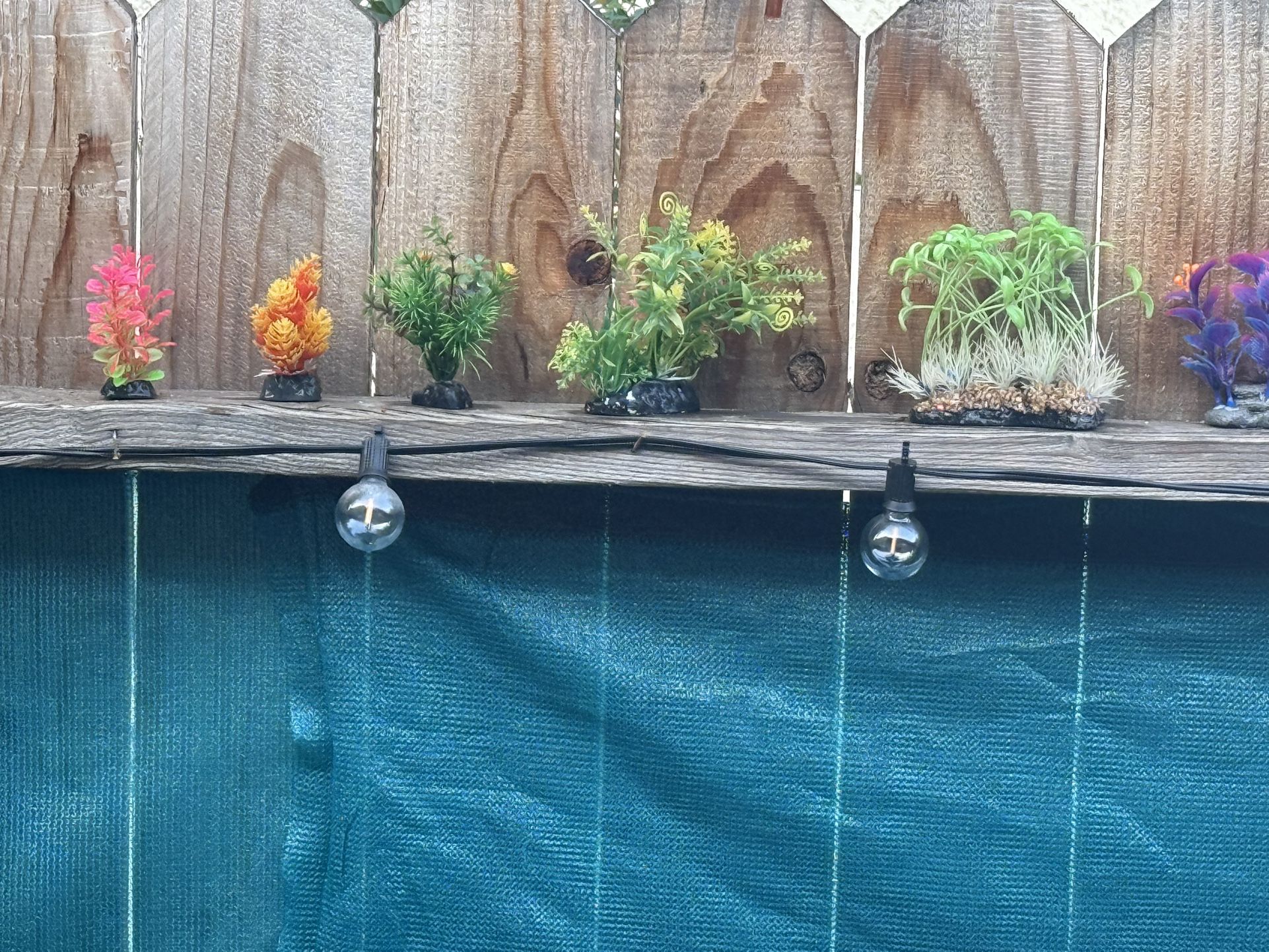 6 Artificial Aquarium Plants