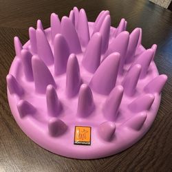 Pet Food Slow Feeder