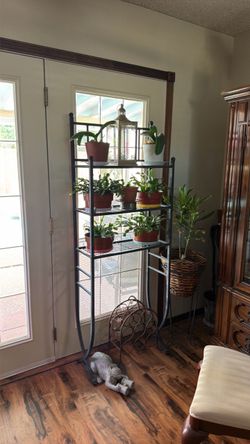 Metal sturdy plant shelf!