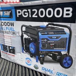 Pulsar PG12000B Dual Fuel Generator 