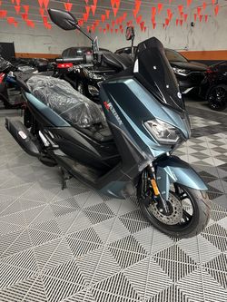 ITALICA MAXIMA NUEVA