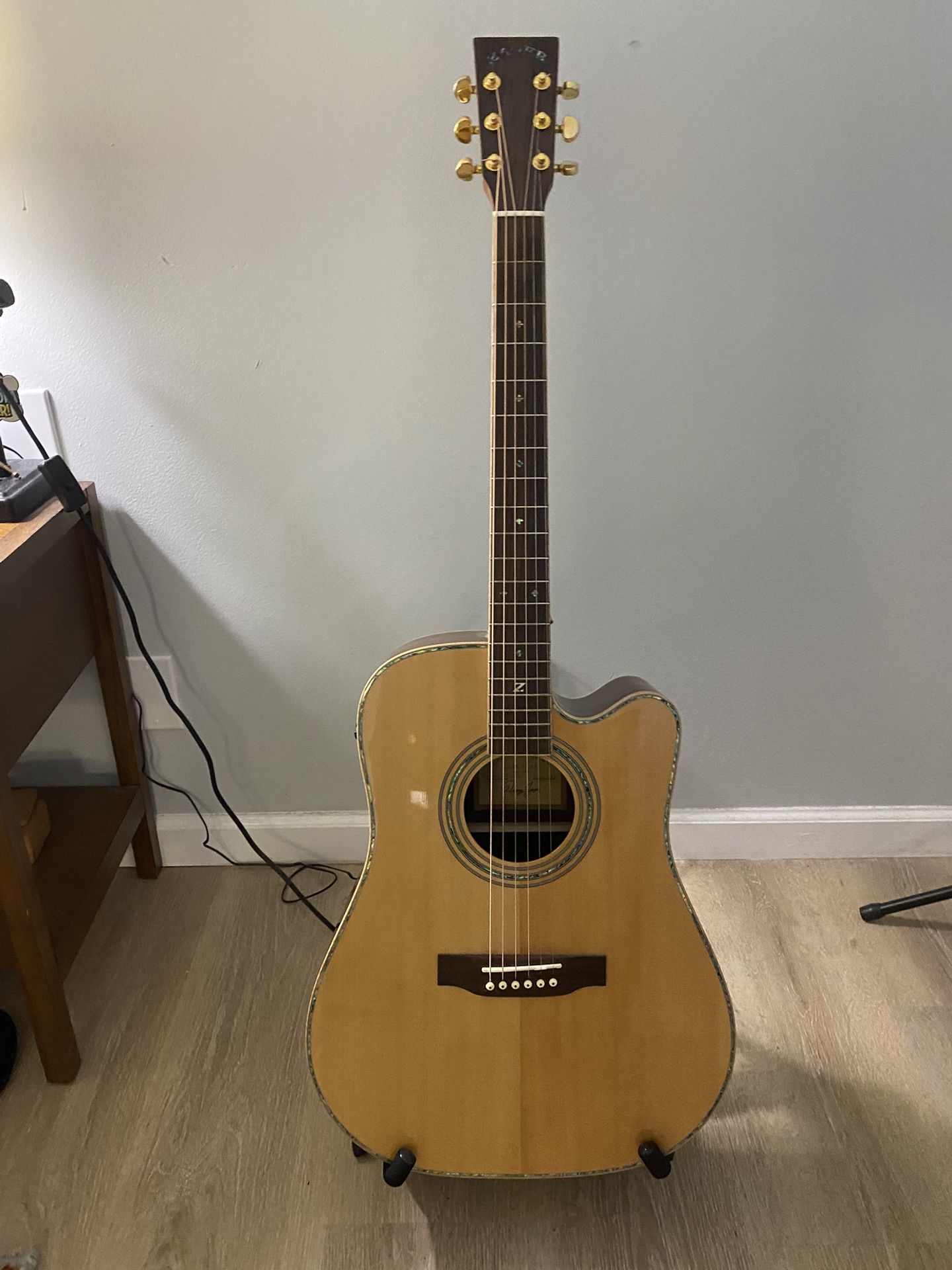 Zager 900CE Acoustic Electric 