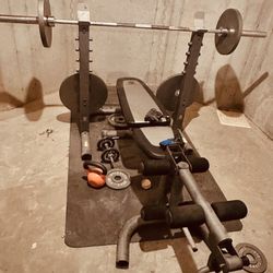 Gold’s Gym Platinum Bench and Weights 