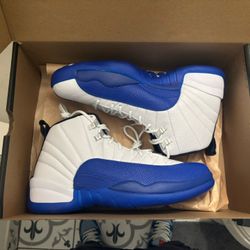 Ds Air Jordan Blueberry 12s Size 9