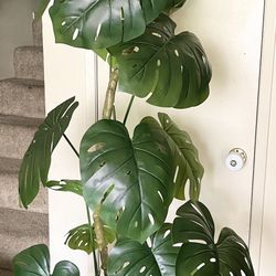 Monstera Fake  Plant/ Prop/ Office Decoration