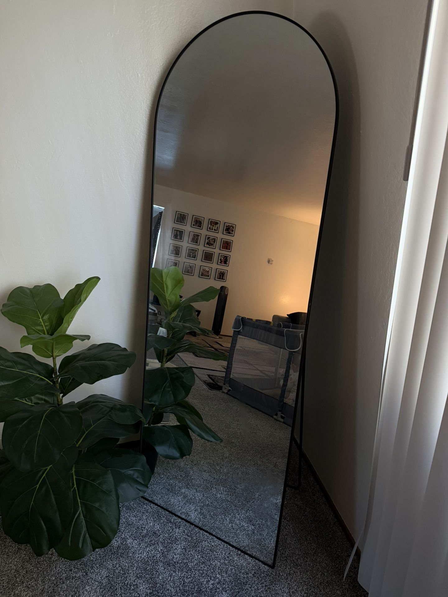 Arch Mirror And Fake Plant 