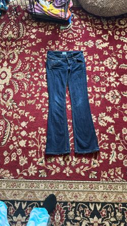 Womans Hudson Jeans Size 24 
