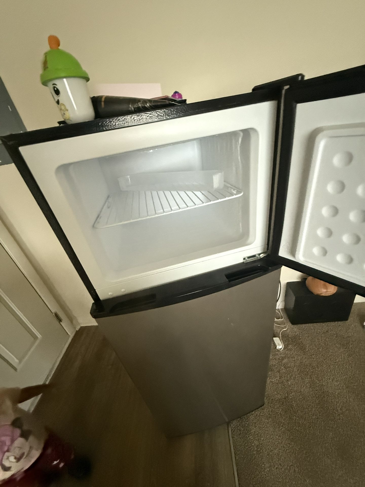 Large Mini Fridge