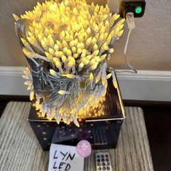 String Lights Warm White LED 330ft Waterproof With Remote Control