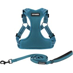 Harness And Leash For Small Dog