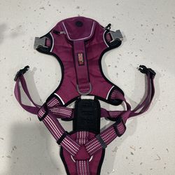 KONG Dog Harness XL