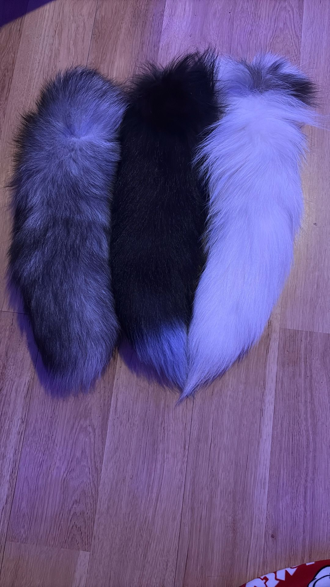 Animal Tails