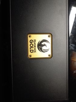 Phoenix Gold Amp