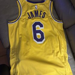 Los Angeles Lakers LeBron James #6 Jersey – Brand New
