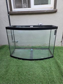Fish Tank