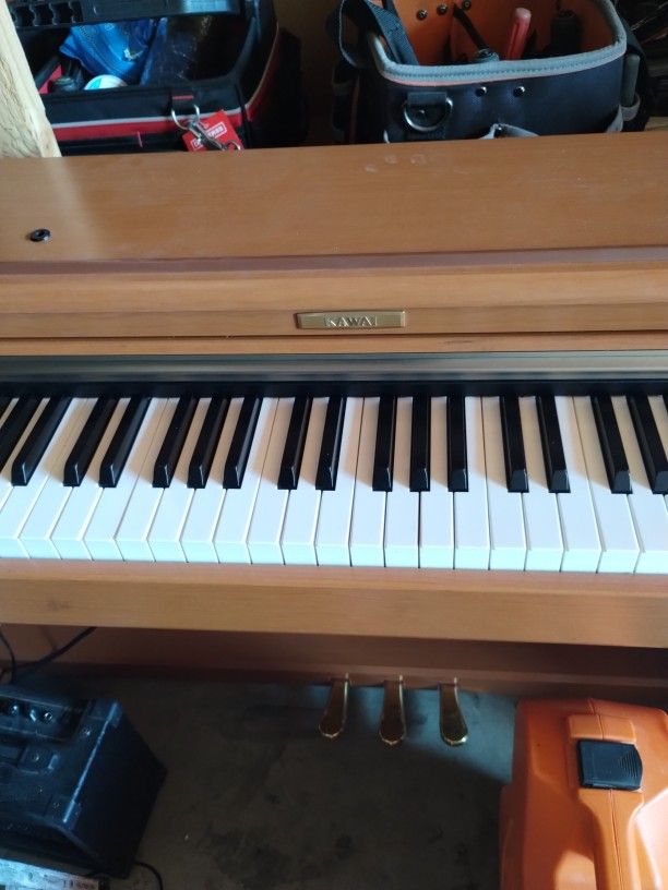 Professional Kawai CN 22 Digital Piano