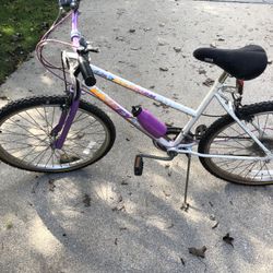 Old Women’s Huffy Bike