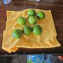 Seedless Lines