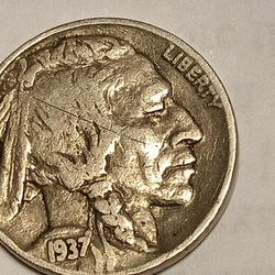 1937 f Buffalo
