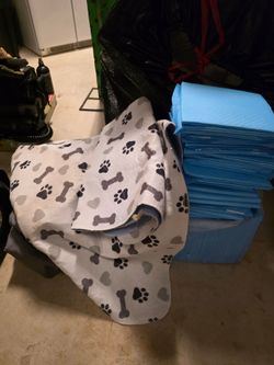 Washable and Disposable Pee Pads