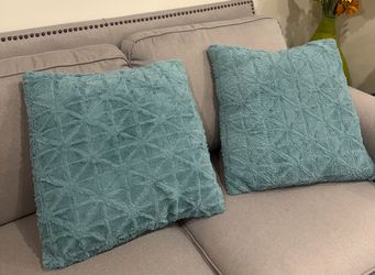 2 teal throw decor  pillows
