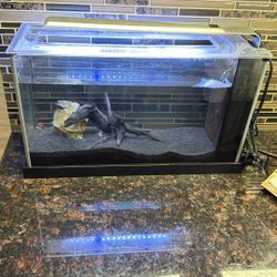 5 Gal Fish Tank