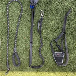 Dog Leashes 