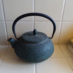 Vintage Cast Iron Tea Pot w/Insert Basket