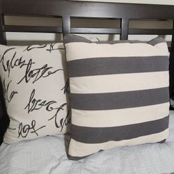 Two 20×20 Accent Sofa Pillows 