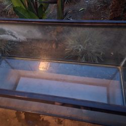 30 Gallon Fish Tank 