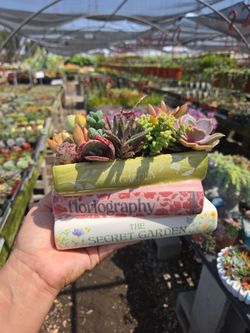 Book arrangements