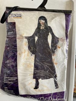 Teen Halloween Costume- Angel Of Darkness