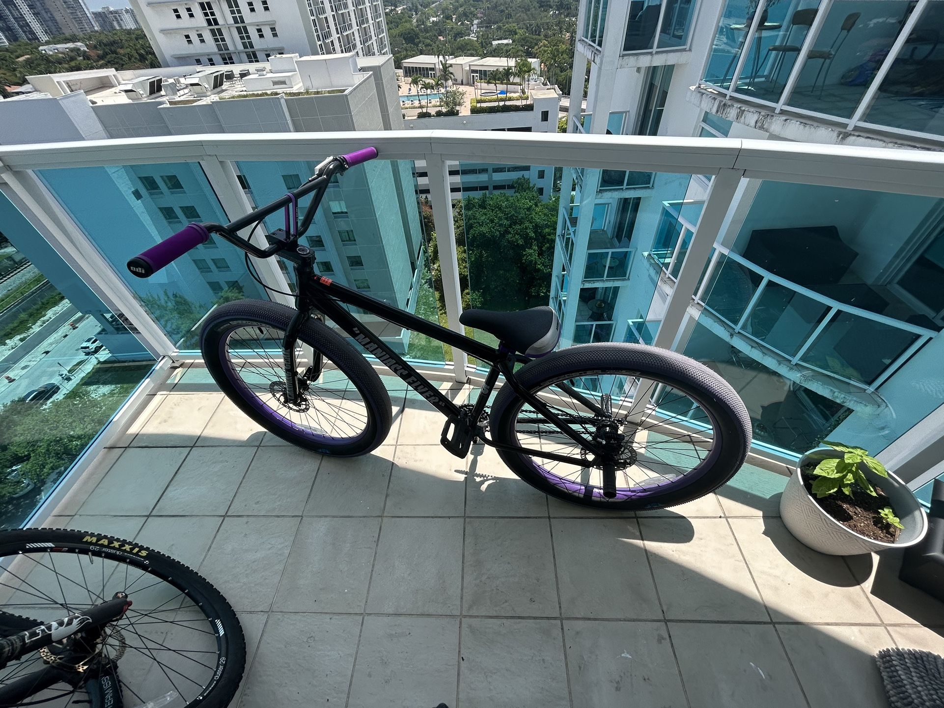 maniacc flyer for sale