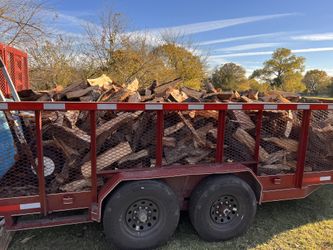 Firewood