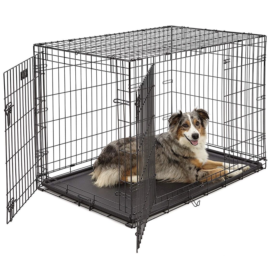 Midwest icrate Large Dog Crate