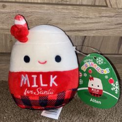 Alten Squishmallow 